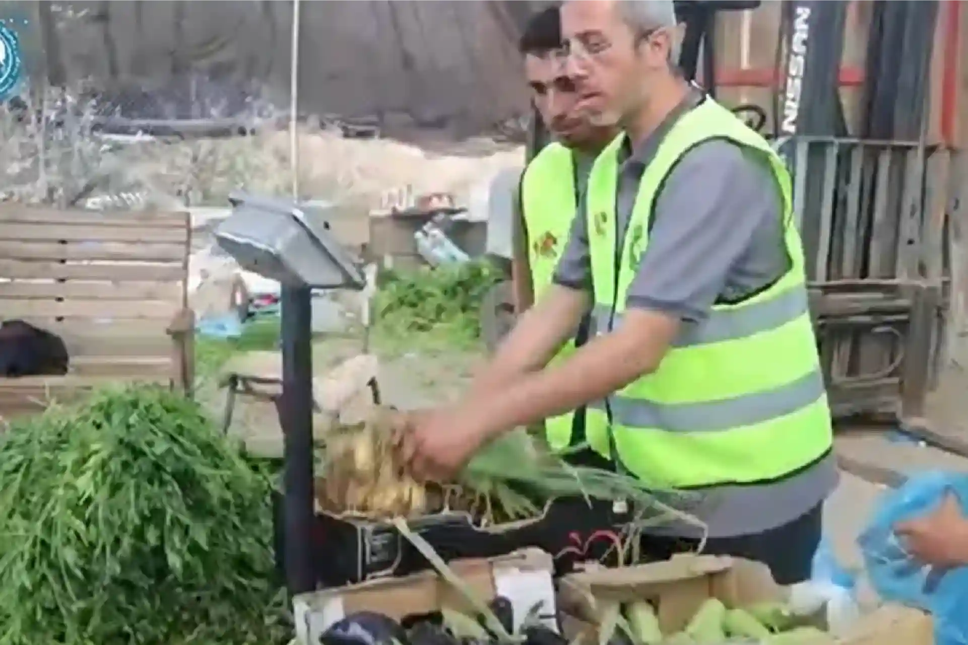 fresh food support in gaza