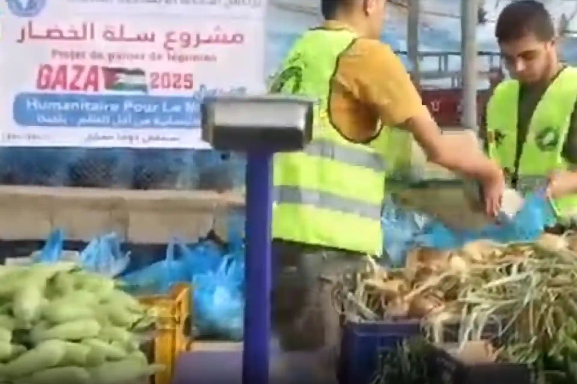 fresh food support in gaza